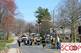 Car Into Pole In Front Of 164 East Eckerson Rd - DSC_0038.JPG