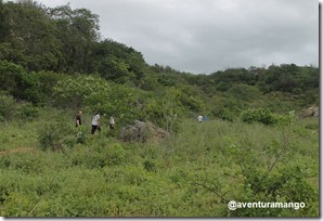 Trilha para o alto da Serra Caiada