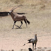 IMG_0775.JPG