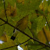 P1120572