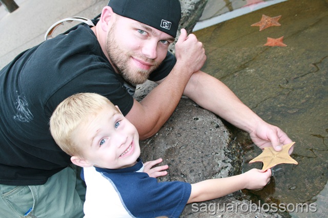 [IMG_7718%255B2%255D.jpg]