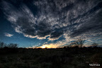 _MG_5447_8_9.jpg