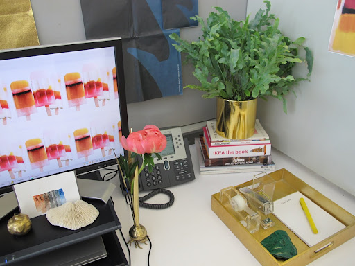 This plant brings a little more nature into the space. I replaced the terra cotta pot with a gold cylinder.