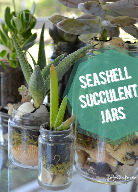 Seashell Succulent Jars