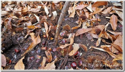 chestnuts4 chestnuts4
