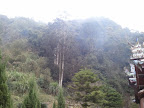 2012-02-09 08.15.29.jpg