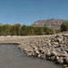 View album