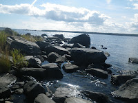 IMGP0107.JPG Photo