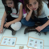 fotos diversas 868.jpg