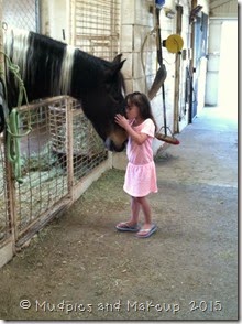 olivia horse olivia horse