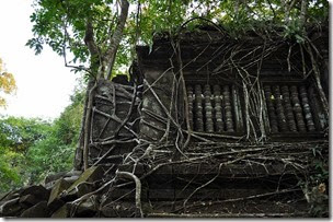 Cambodia Angkor Beng Mealea 131228_0444
