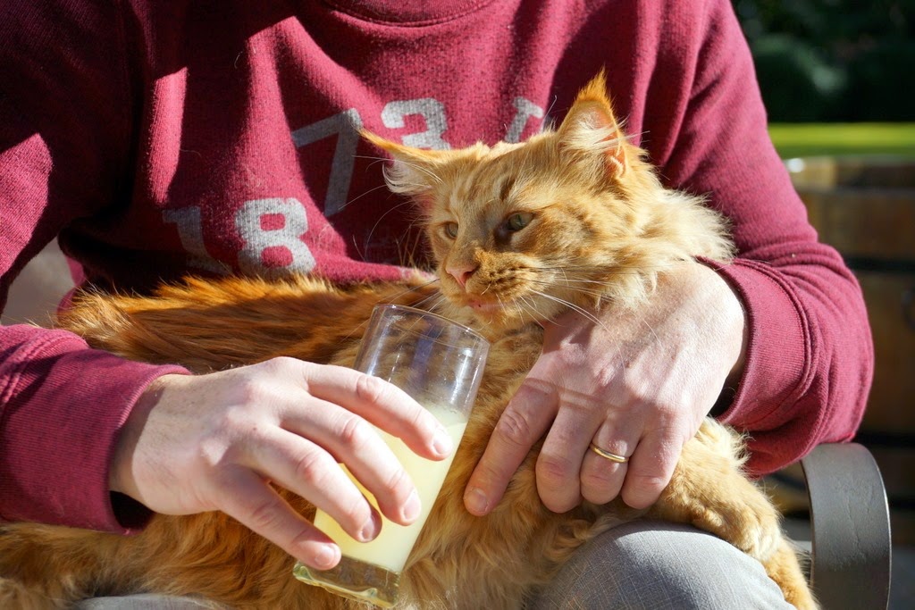 [DSC05664%255B3%255D.jpg]