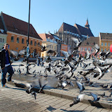 Team Building 2010 (3).JPG