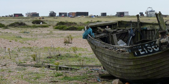 dungeness sept 2011 023