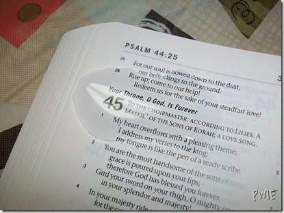 waterproof bible review 013 waterproof bible review 013