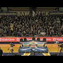 Dawg Pack