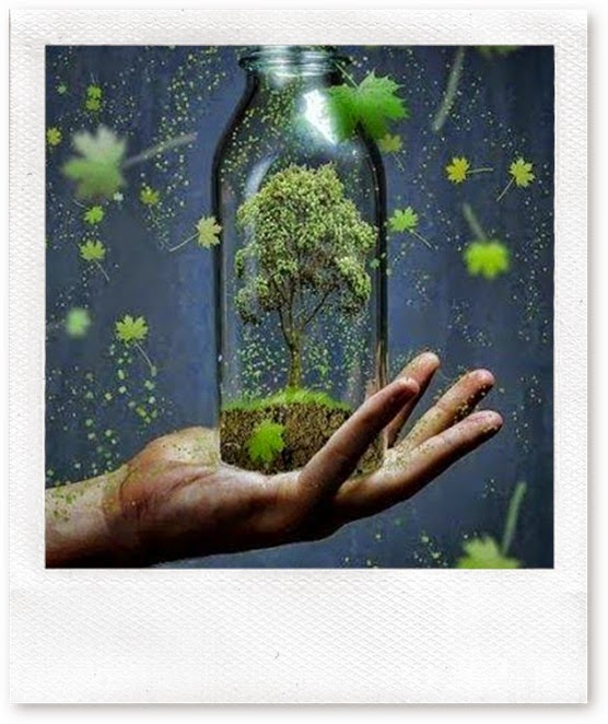 preserve a natureza preserve a natureza