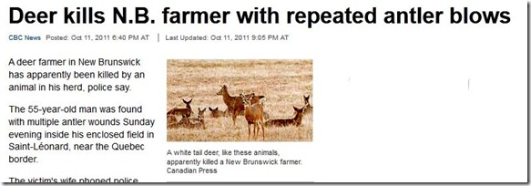 deer_2