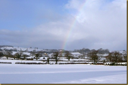 snow again6