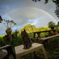 Maui 2013