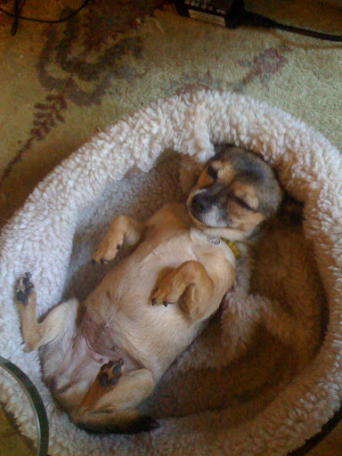And to think I was assuming this was just Minnow's calculated attempt to be irresistible!