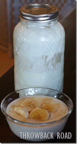 yogurt self port 024 yogurt self port 024