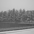 Snow Falling on Old Seventh Avenue