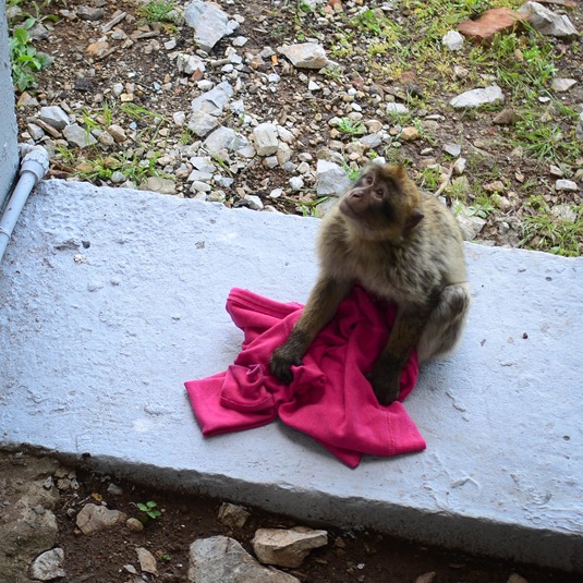 [gibraltar111%255B1%255D.jpg]