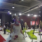 Immagine 042.jpg