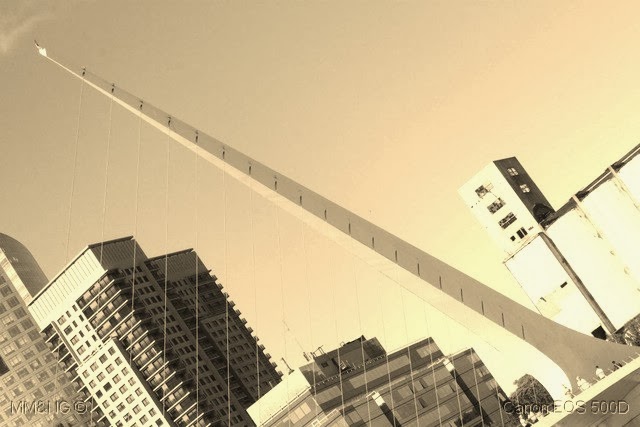 [IMG_7353%255B17%255D.jpg]