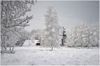 Teufelsmoor - Winterimpression