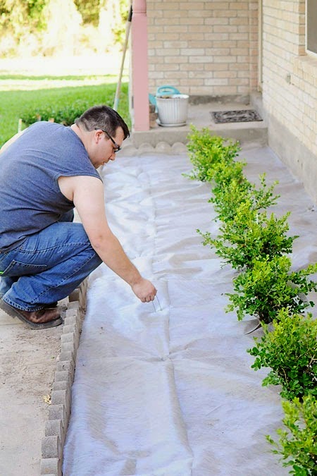 A DIY landscaping tutorial for adding boxwoods or plants to the front of your home to boost curb appeal. 