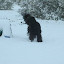 DSC_9253.JPG
