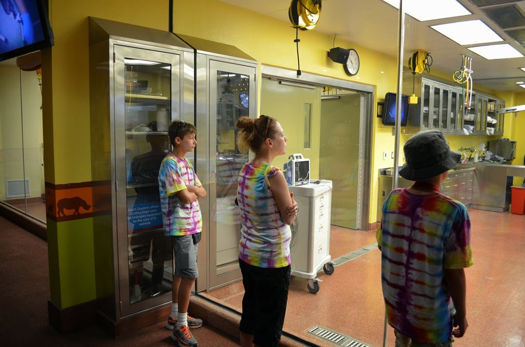 [DSC_8783%255B3%255D.jpg]