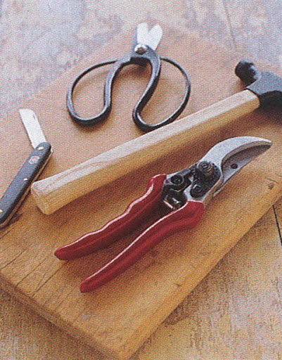 To cut and properly prepare any kind of stem, keep on hand these essential tools: a sharp knife, scissors or garden shears, pruners, and a hammer -- useful for fraying thick, woody stems, especially those of early spring's flowering branches. (The Best of Martha Stewart Living -- Arranging Flowers)