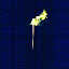 waldweihnacht 2010 241.jpg
