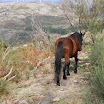 IMG_3672.JPG