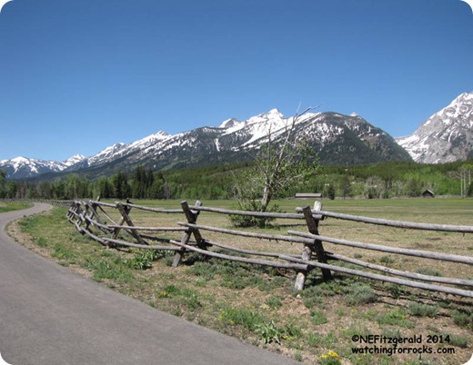 FenceAlong BikePath FenceAlong BikePath