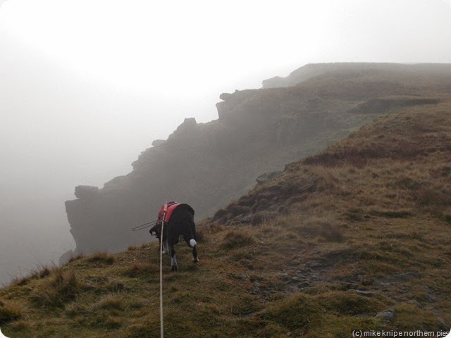 near the top near the top