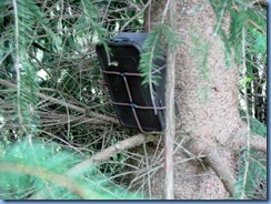 4979 Laurel Creek Conservation Area - Dignity Memorial Grove - Hanging Out in Memorial Grove Geocache