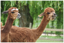 [image%255B41%255D.png]