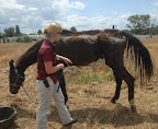 When they got the call, NorCal Equine Rescue did not miss a beat, contacting a local vet to assess the horse. Phoenix (a name he earned for obvious reasons) was as malnourished and weak as a horse can be without dying.