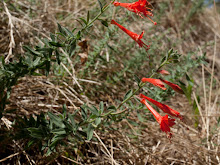 P8066875