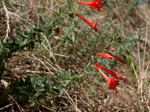 P8066875