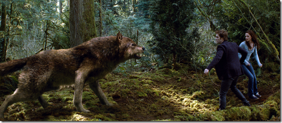 lobo