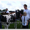 Cattle 016.jpg