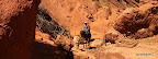 Two brothers on a horse coming home