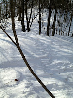IMG_0424.jpg Photo