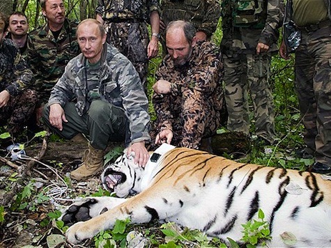 [putin_tigerpg%255B3%255D.jpg]