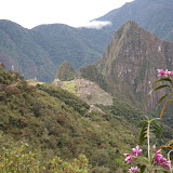 P5263285.JPG
